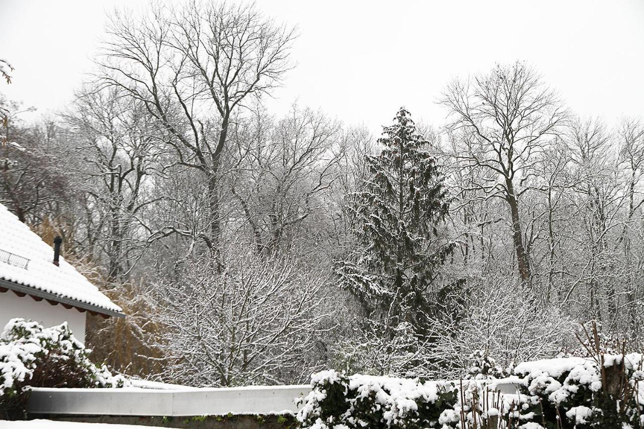 Haus Mit Kunst Zwischen Wald Und See Leipzig Eksteriør billede