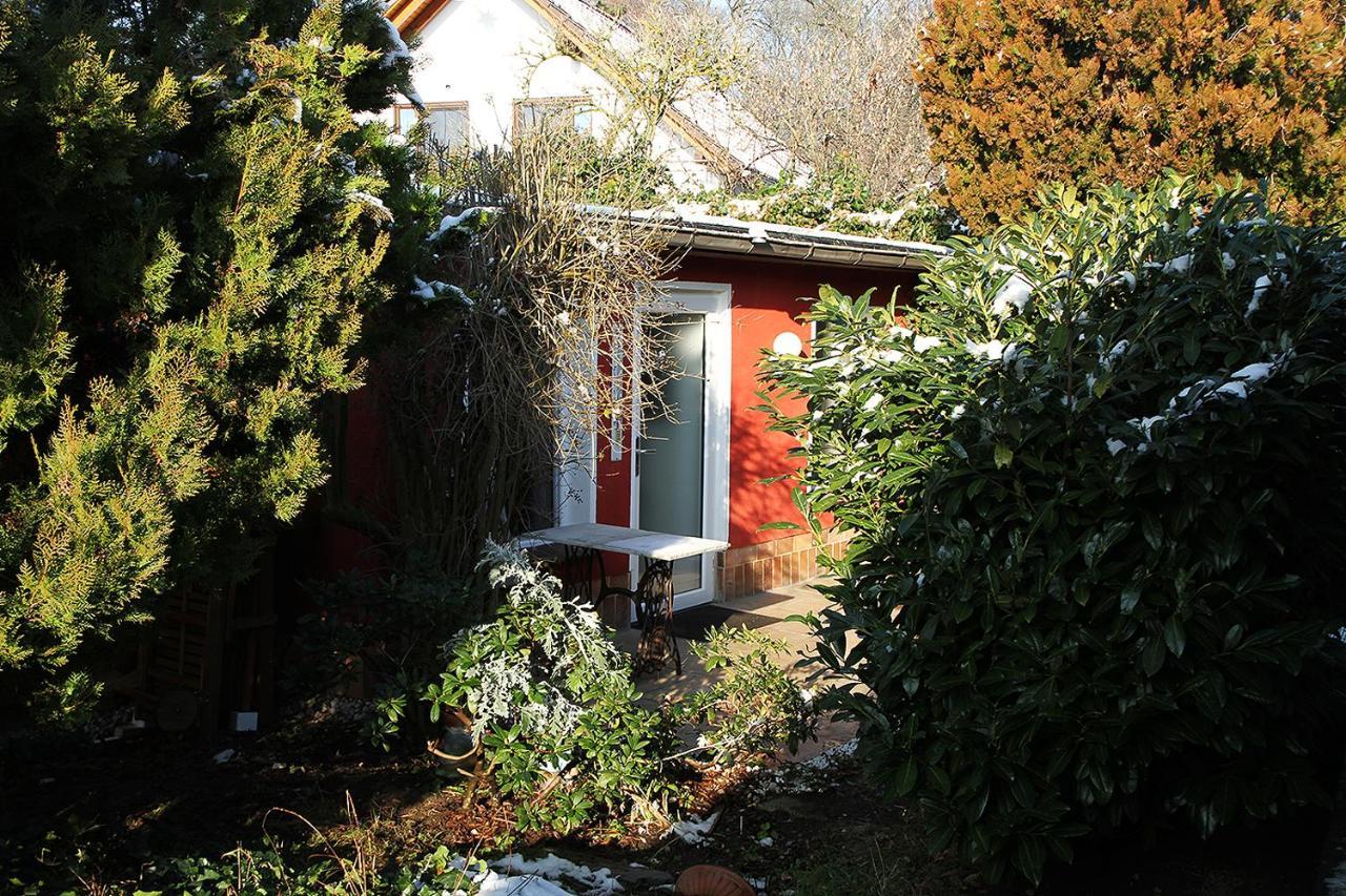 Haus Mit Kunst Zwischen Wald Und See Leipzig Eksteriør billede