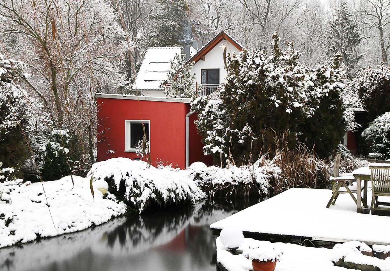 Haus Mit Kunst Zwischen Wald Und See Leipzig Eksteriør billede